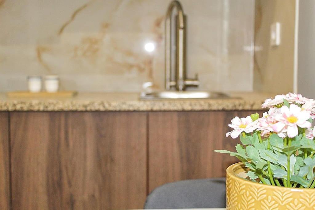Oporto Sweet Downtown 2 Apartment Ngoại thất bức ảnh